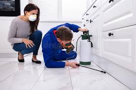 Reliable Bronxville, NY Pest control Solutions